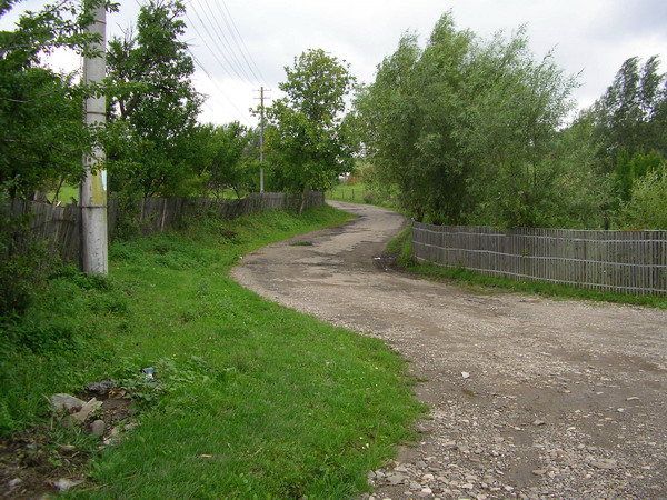 0 str. Dumbrava Minunata inainte2.jpg